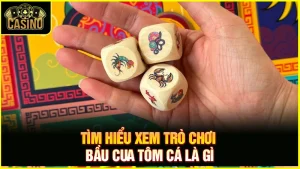 5 Cách chơi bầu cua cá cọp ngày Tết luôn thắng 9