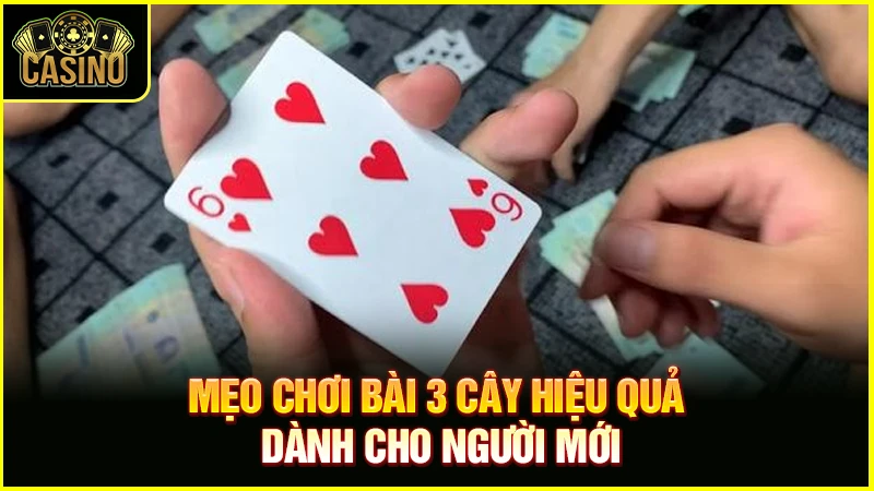 Cách chia bài 3 cây lấy điểm cao | Hướng dẫn đánh bịp 15