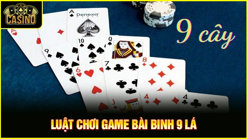 Cách chơi bài binh 9 lá: Hướng dẫn luật chơi cho người mới 19