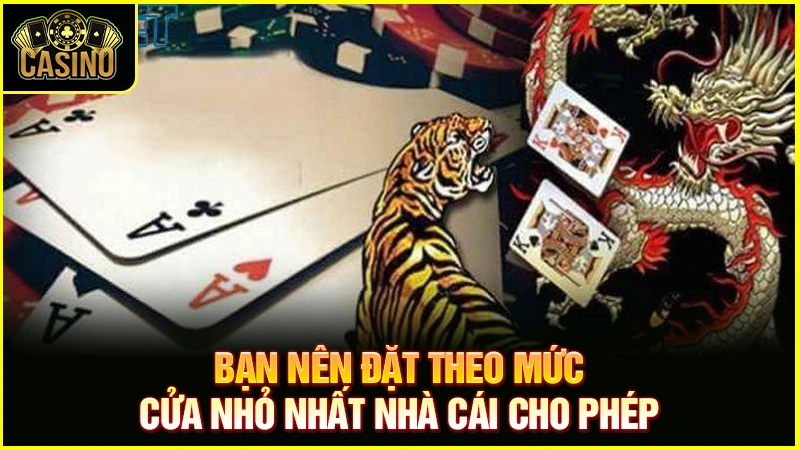 Cách chơi Rồng Hổ luôn thắng | Luật đánh bài Dragon Tiger 11