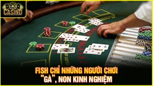 Fish trong Poker là gì? Cách nhận diện, làm gì khi gặp Fish? 15