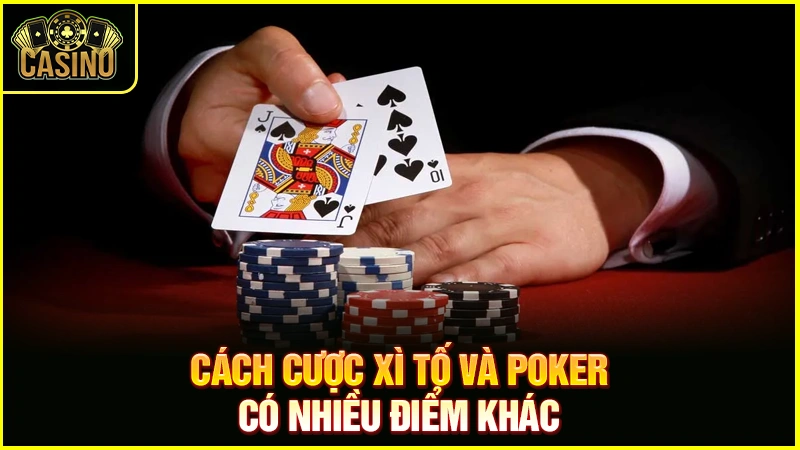 Phân biệt xì tố và Poker? Điểm giống & sự khác biệt của hai trò 15