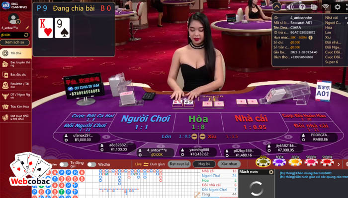 kasino online